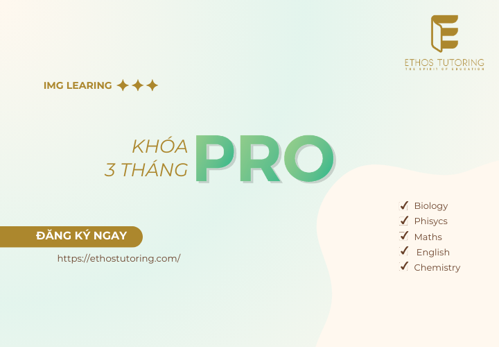 Khóa học 3 tháng Pro